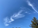 IMG_2080.jpeg