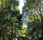 IMG_2081.jpeg